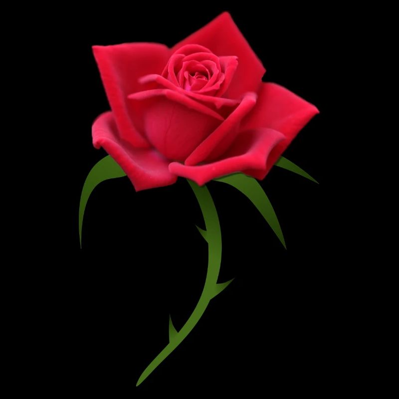 Rose red rose red roses
