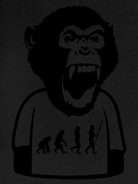 Monkey Evolution