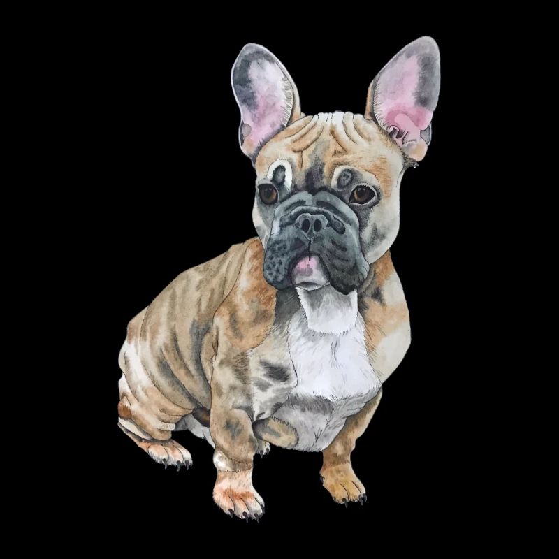 Français Bouledogue