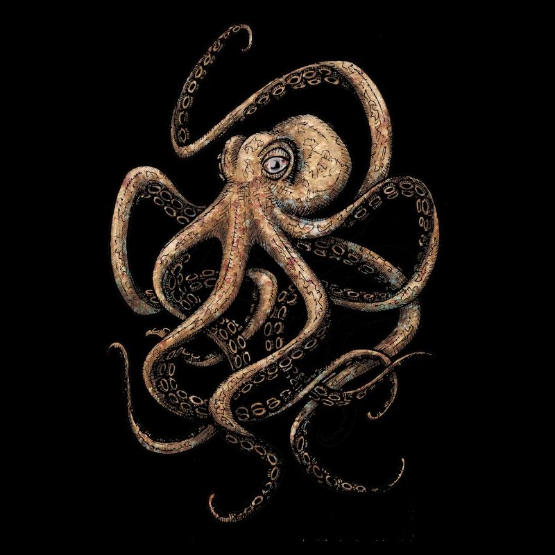octopus