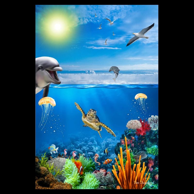 Reef Underwater