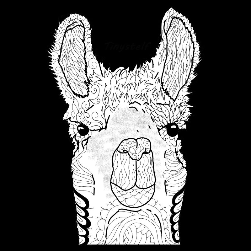 lama