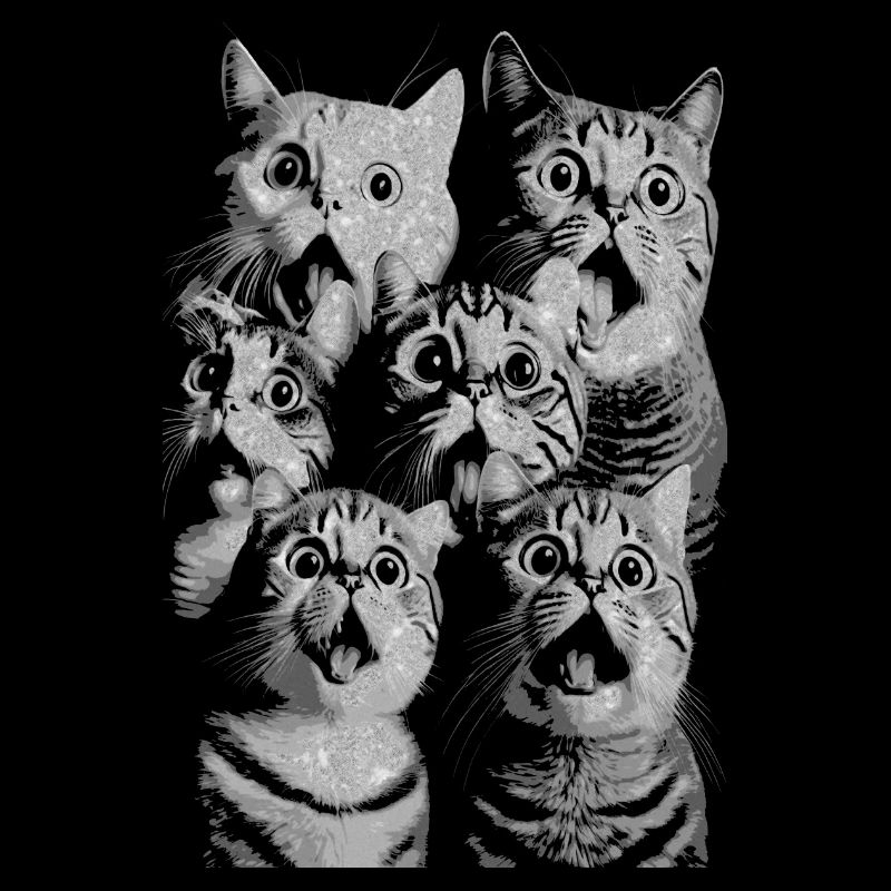 Funny Animals Cat Graphic