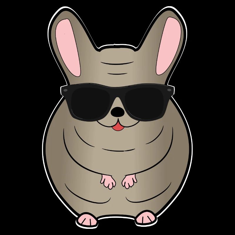 Chinchilla