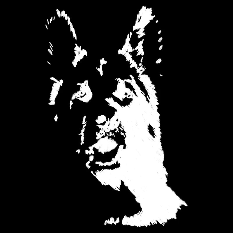 Deutscher Schäferhund Frontalansicht