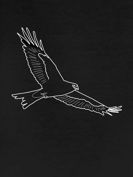 kite