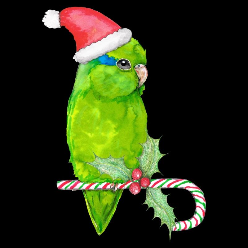 Forpus vert de Noël