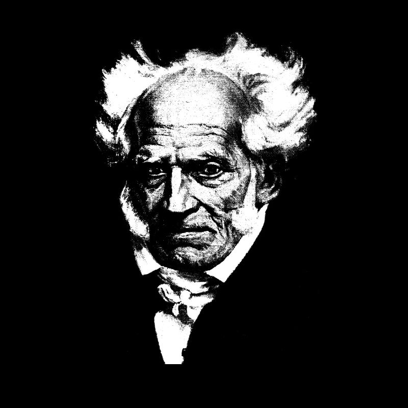 Artur Shopenhauer
