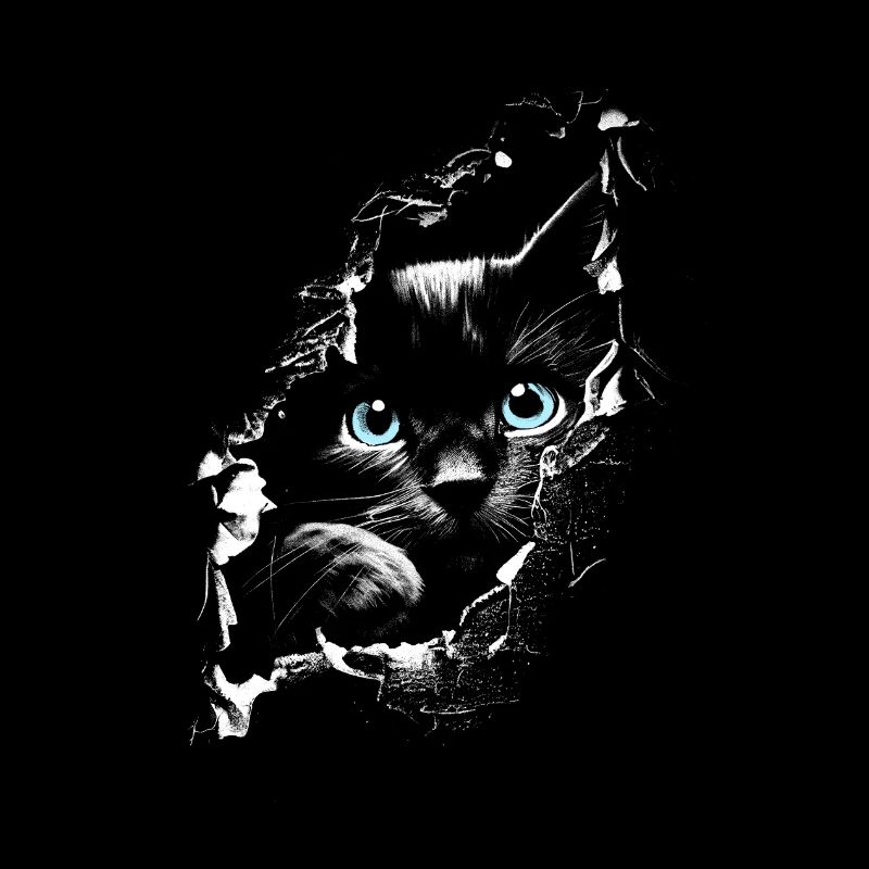 Chat Chat domestique Chaton Chat Chat Cheveux de chat