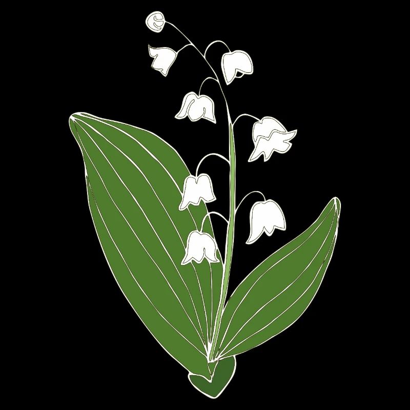 Maigloeckchen 2 6