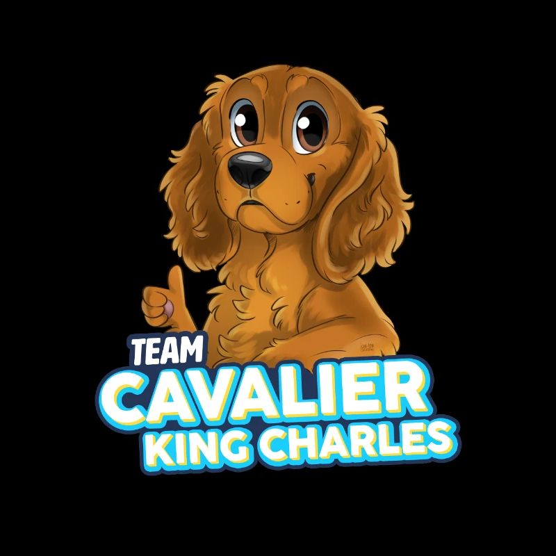 TEAM Cavalier King Charles - Feu