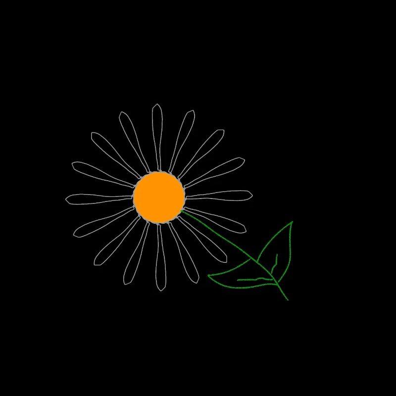 Sonnenblume