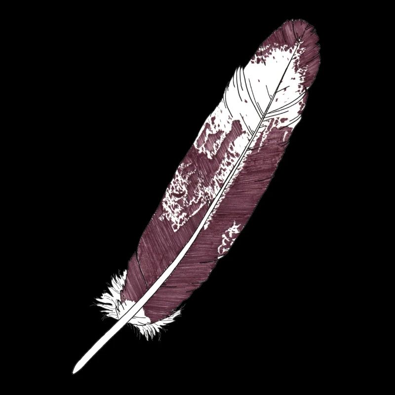 Large feather brown-white hand-drawn (white-tailed eagle)