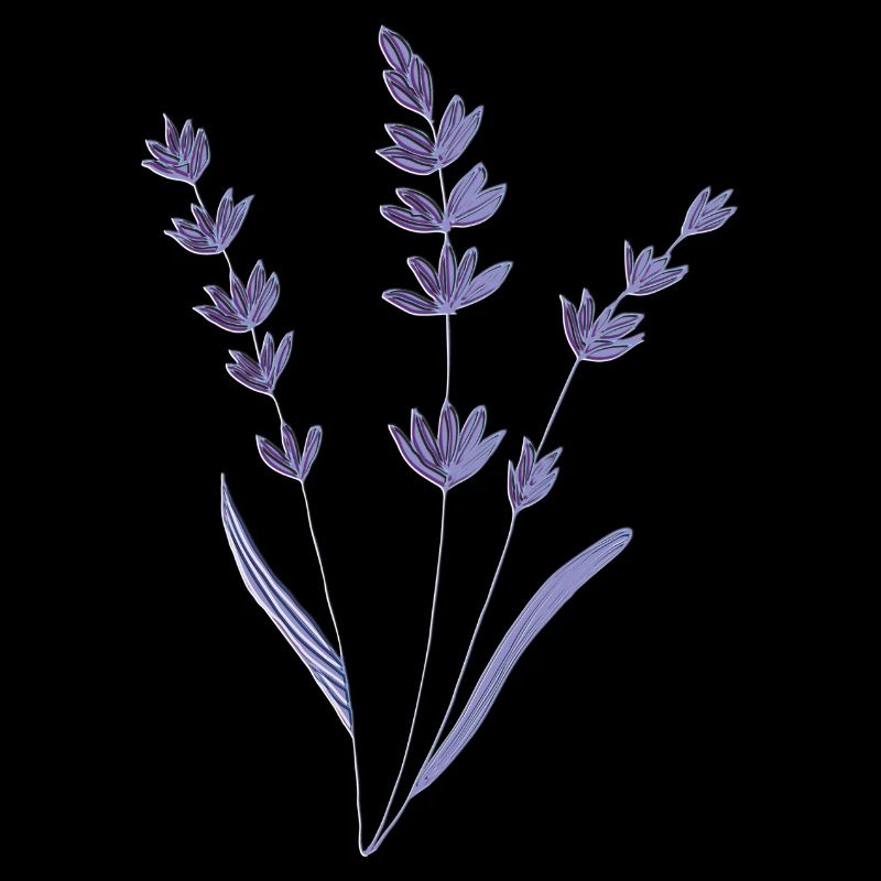 lavendel relief