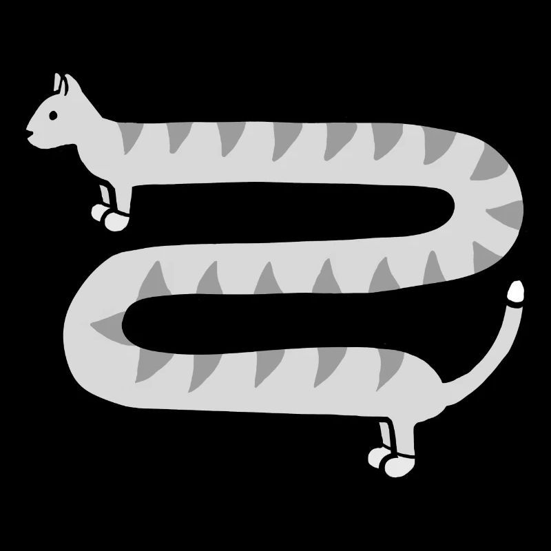 Cute long grey tabby cat