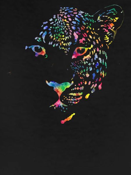Multicolour leopard