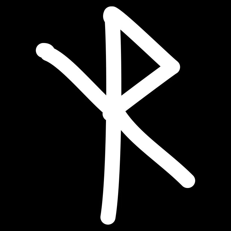 Viking Rune / Security