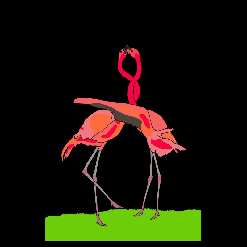 flamingos