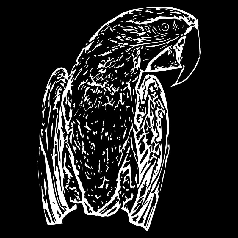 Perroquets Oiseau Blanc