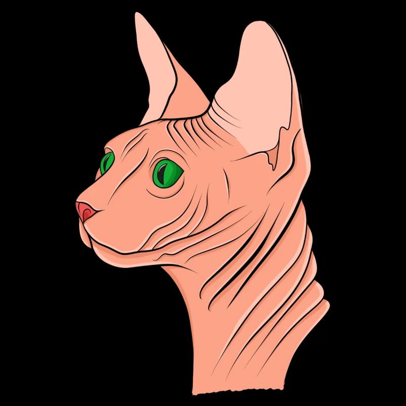 Sphynx Katze