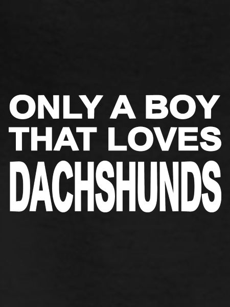 Dachshund