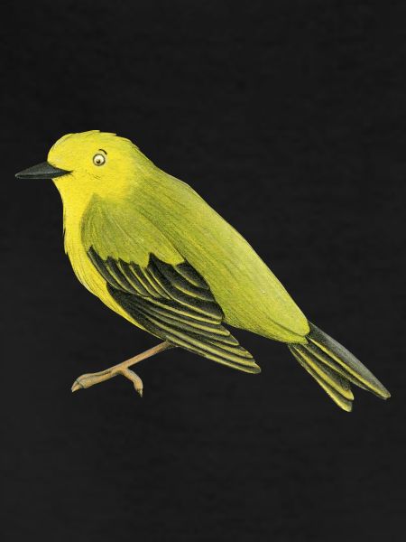Warbler