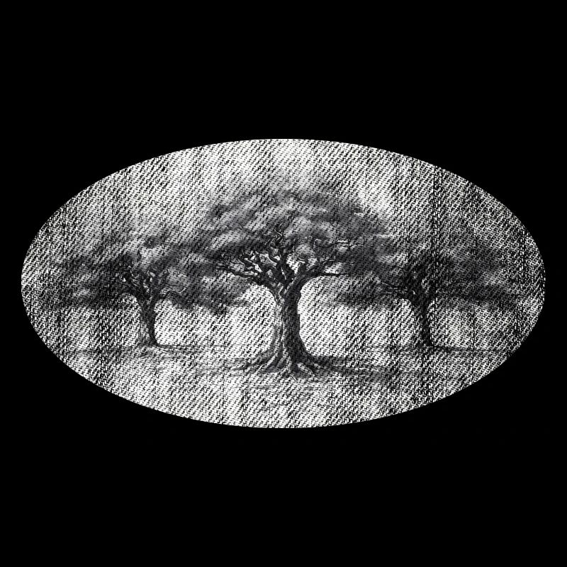 Old trees tree wisdom retro