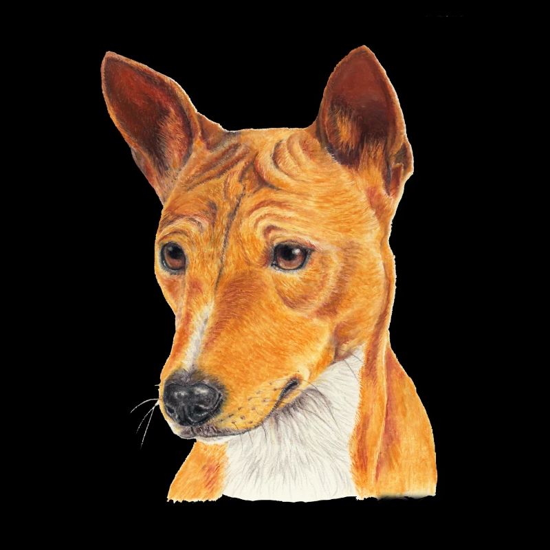 Basenji