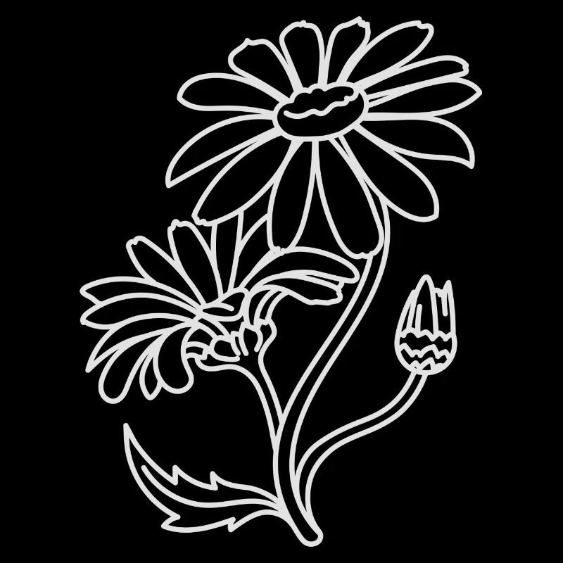 Einfache Gänseblümchen