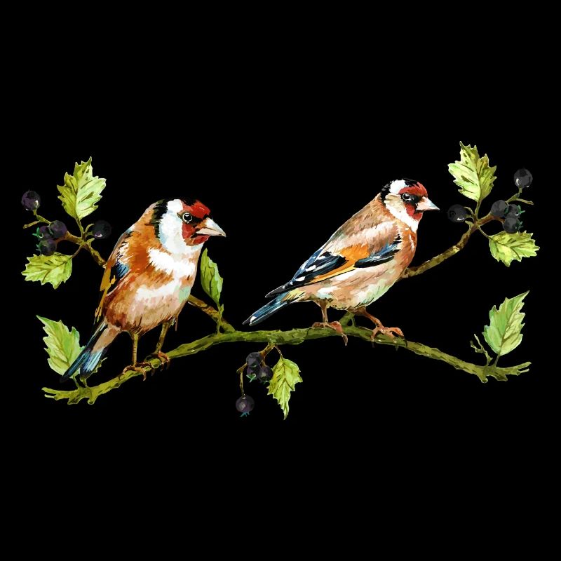 Bunte Vögel