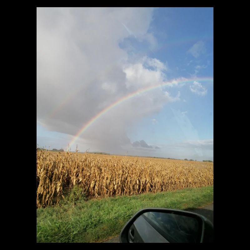 Rainbow on the road and wheat fields