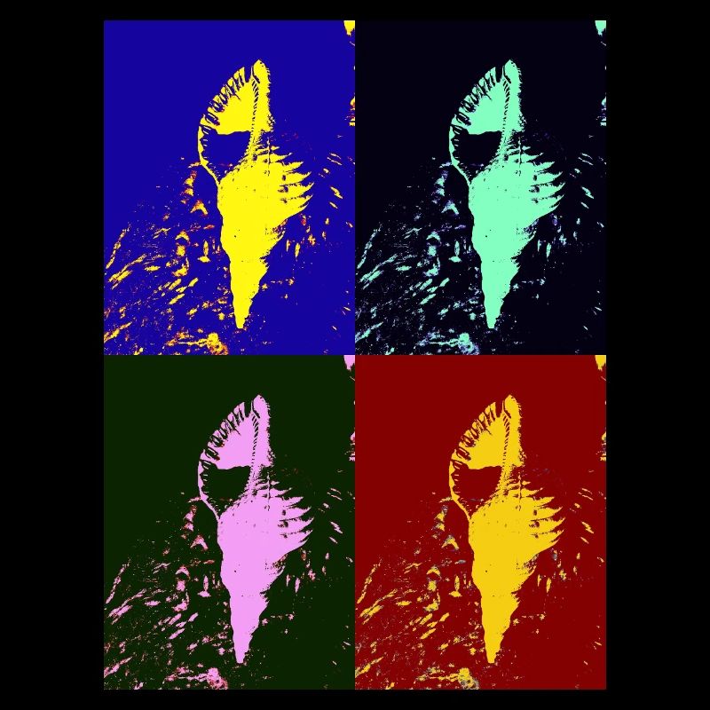 Mediterranean shellfish