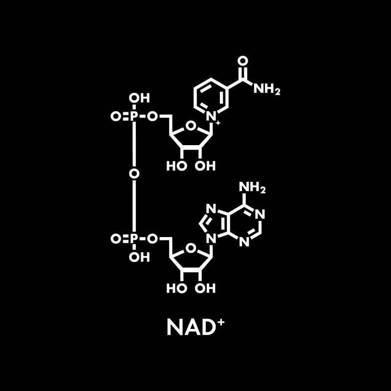 NAD+ Formule chimique