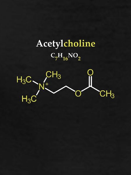 Acetylcholine Molecule