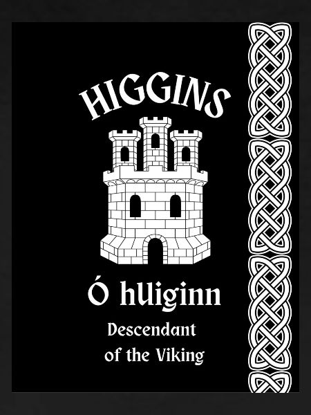 Higgins Surname