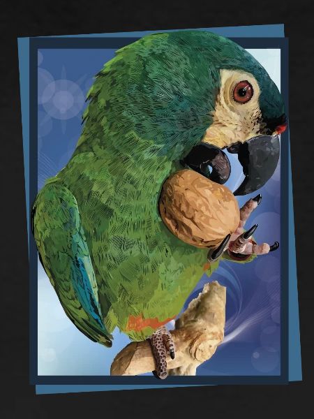 Das Maracanã