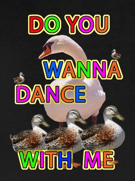 Duck Dance