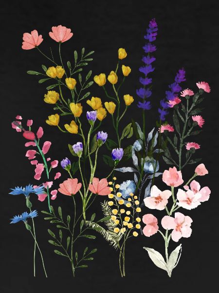 Summer meadow