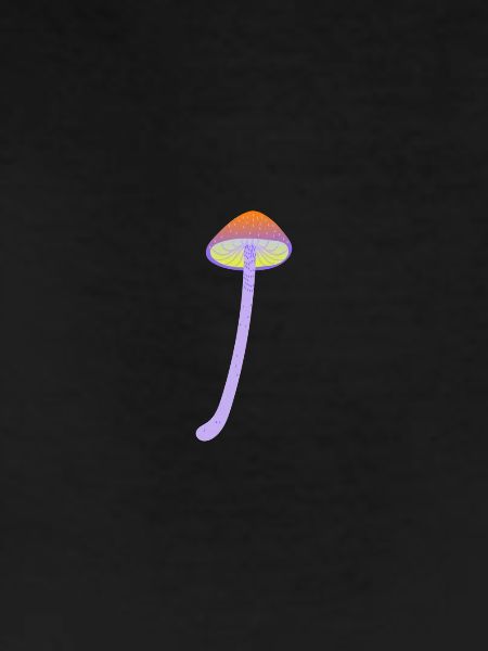Magic mushroom