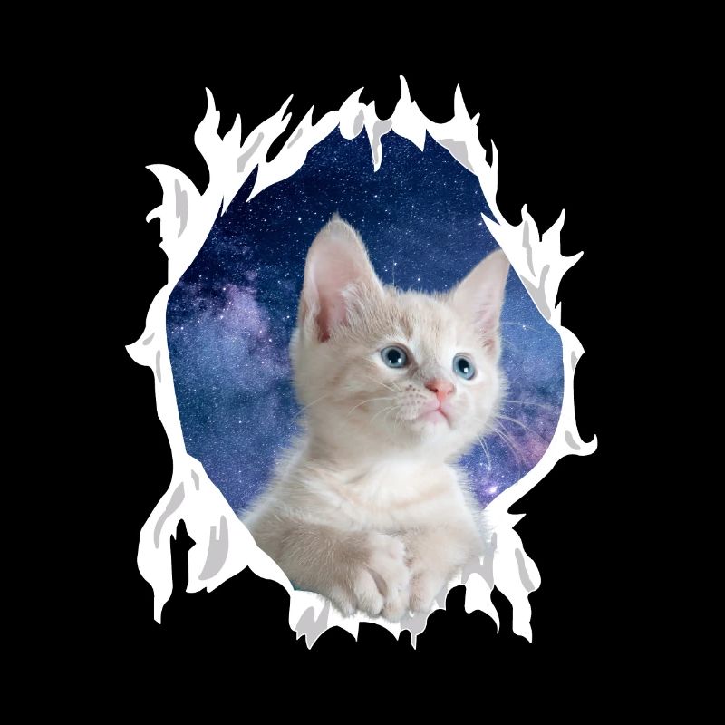 Mignon chaton 3D chat - Cadeau