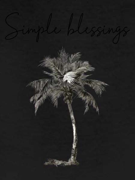 Simple Blessings
