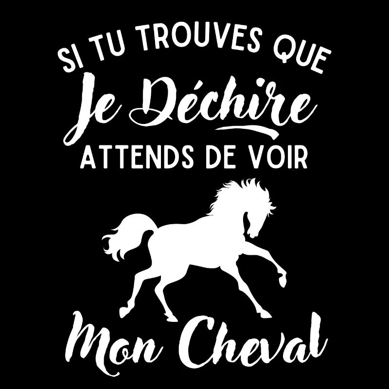 Mon cheval qui déchire 2
