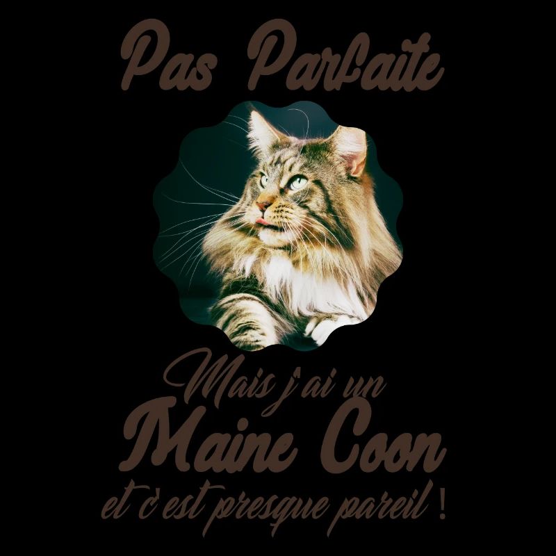 Pas Parfaite mais j ai un maine coon 2