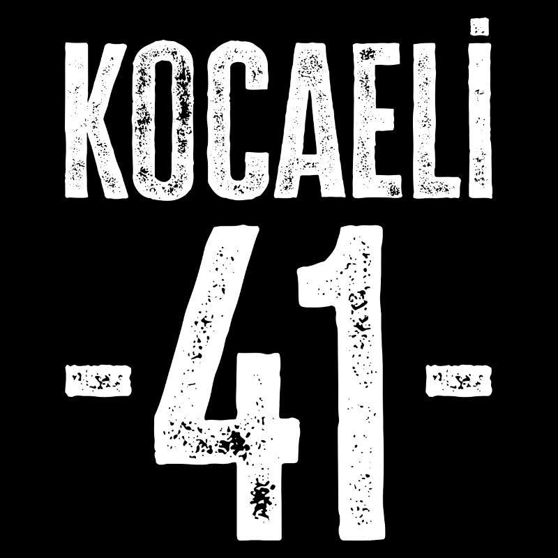 Kocaeli 41 – Connection with Türkiye