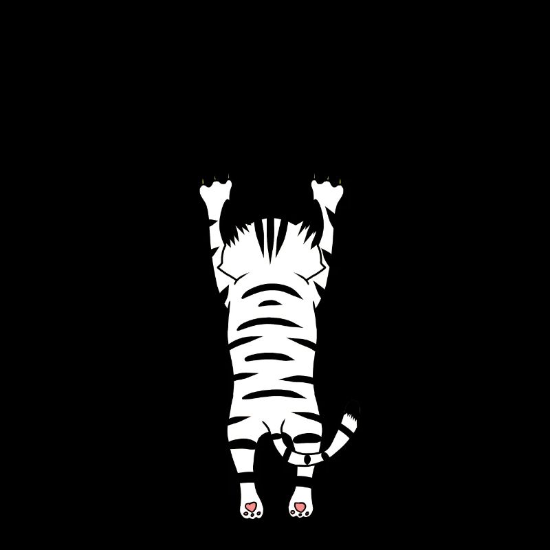 Claws Cat Cats Hangover Pets Paw