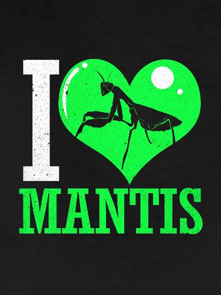 Mantis