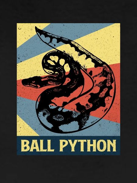 Python