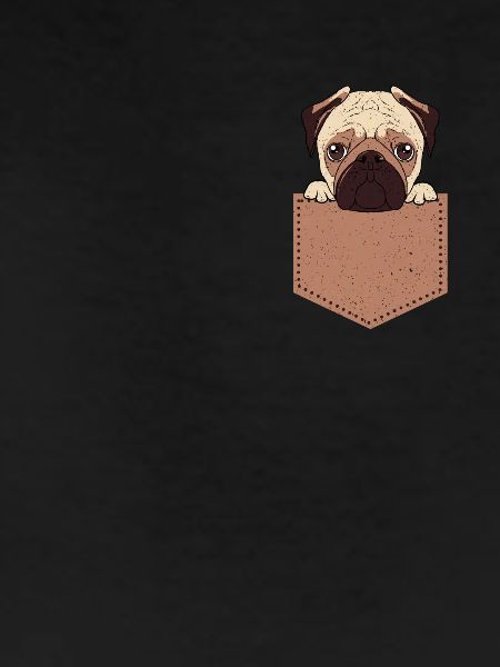 Pug