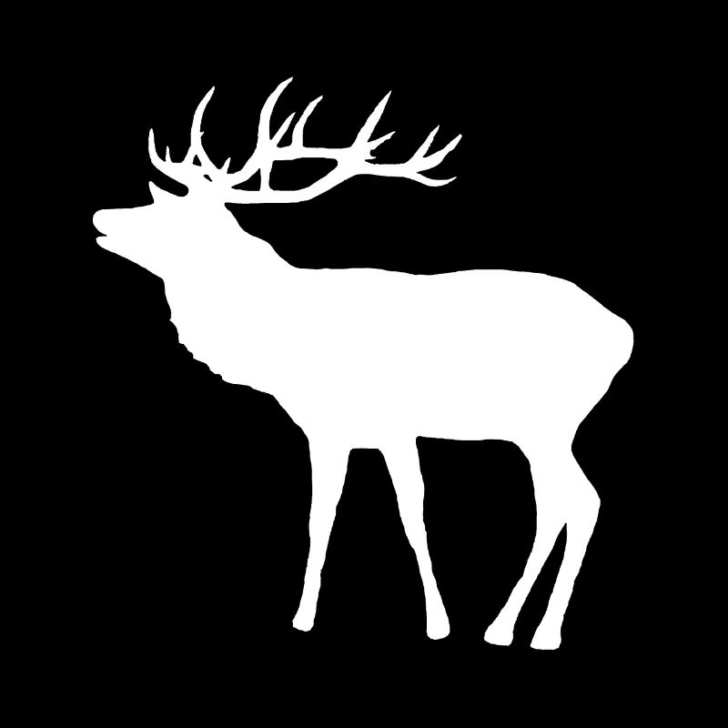 großer Hirsch mit Geweih, Rehbock, Jagd, Wald