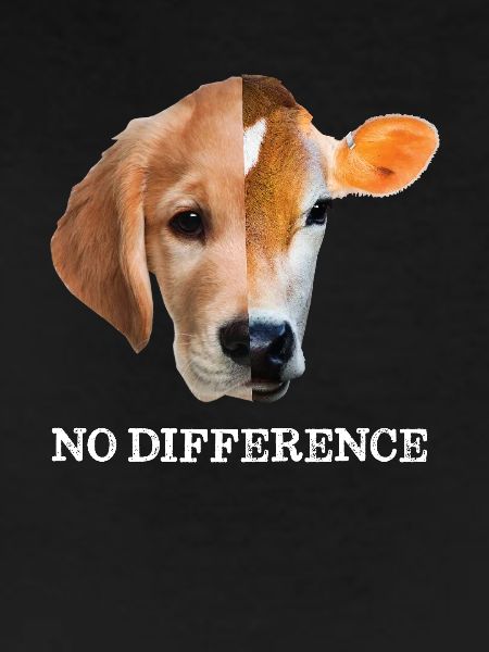 No difference Vegan